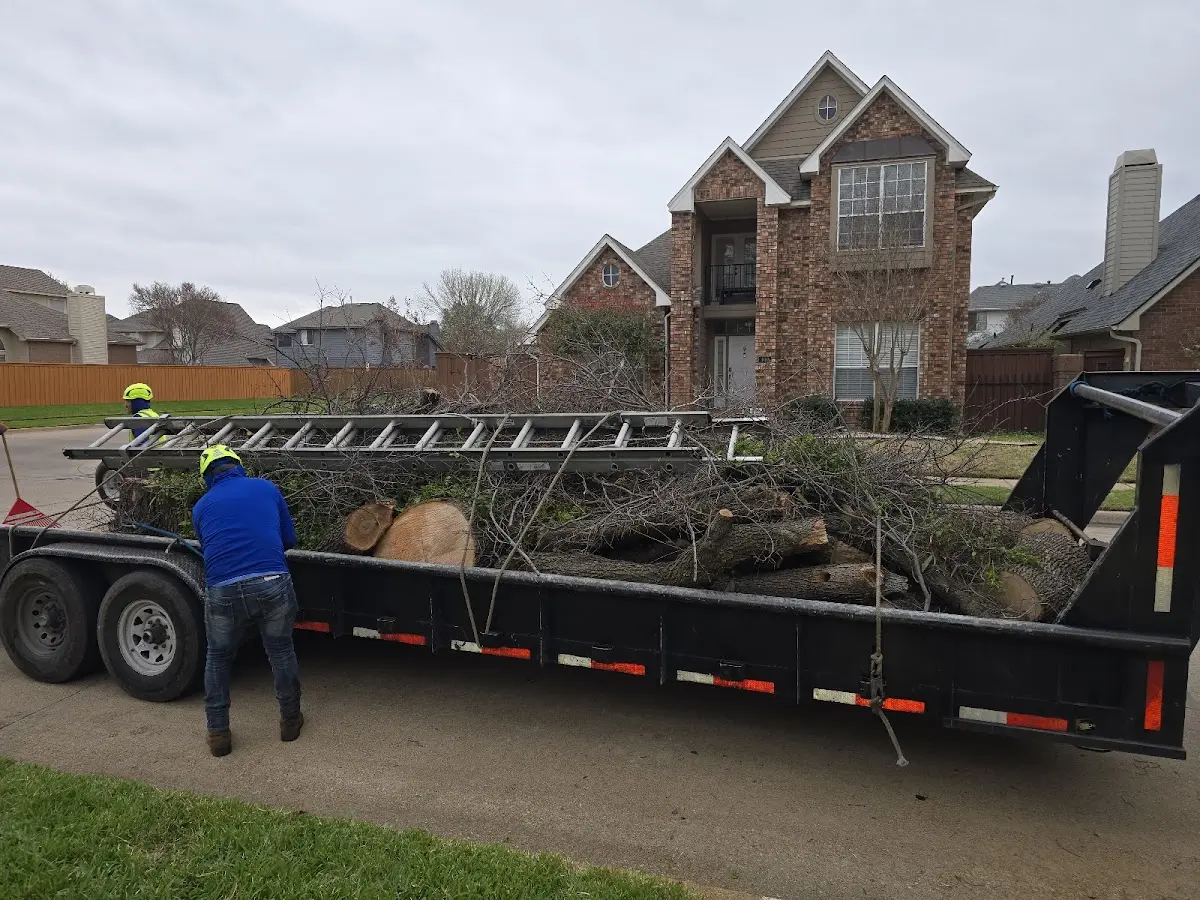 Expert Lot Clearing with proper safety equipment in Hobucken
